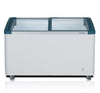 Liebherr EFI4153 Professional Frozen Food and Ice Cream Chest Freezer