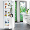 Liebherr HC1050 24 Inch Fully Integrated Bottom-Freezer Refrigerator with 3 Glass Shelves